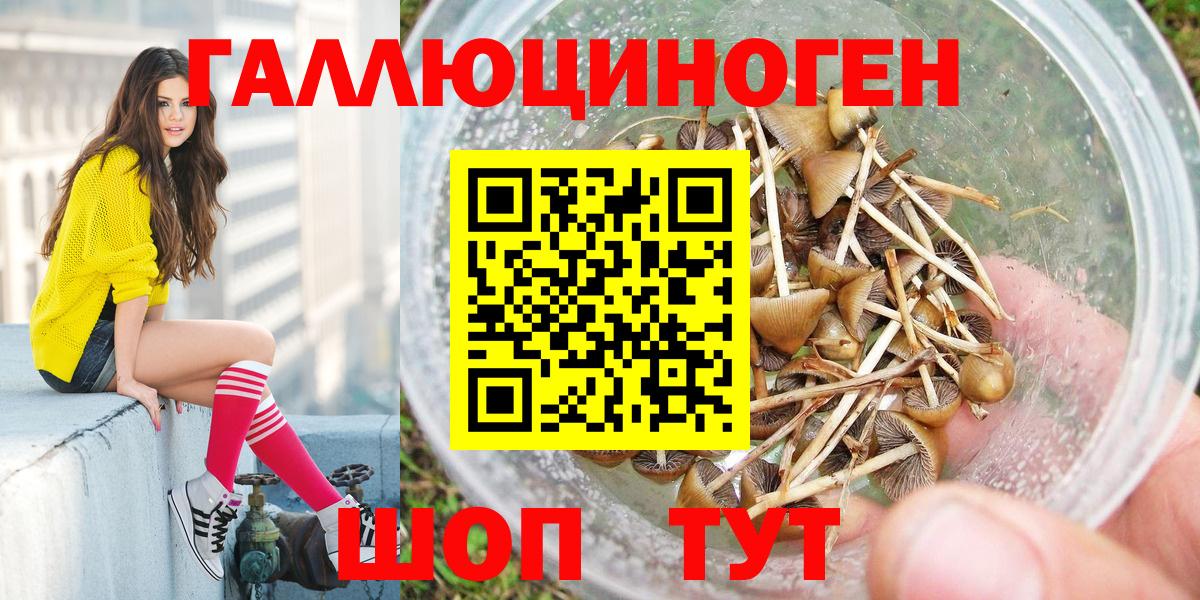 Галлюциногенные грибы ЛСД Рузаевка